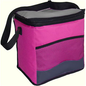 Large 600D Cooler bag